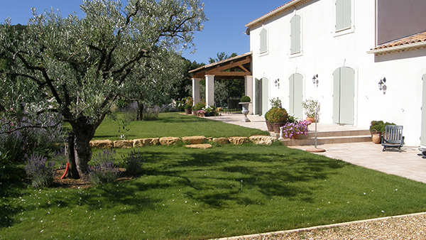 portfolio-image