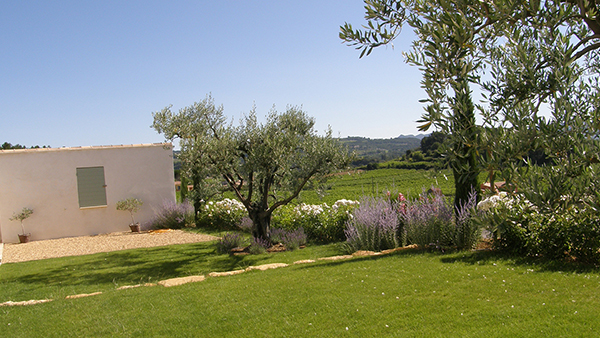 portfolio-image